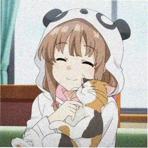 会员